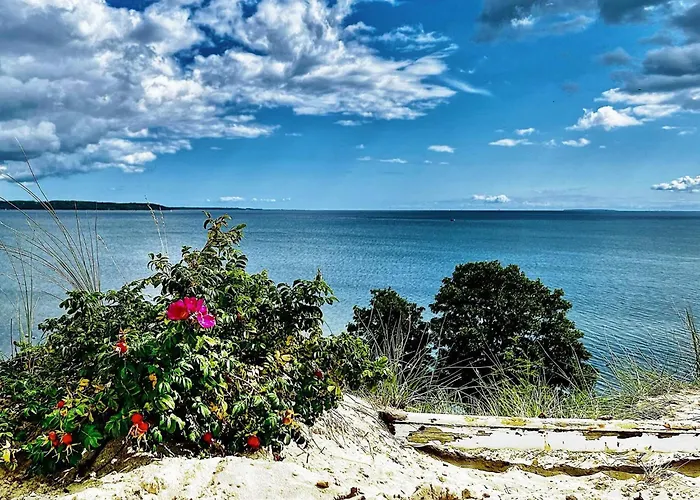 Seaside Charm With Views - By Traum Egeskov (Syddanmark)